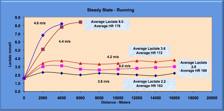 steady states runs and lactate levels