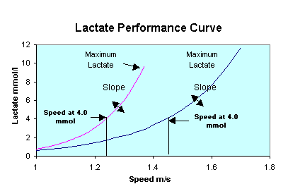 Basis for shape of lactate curve