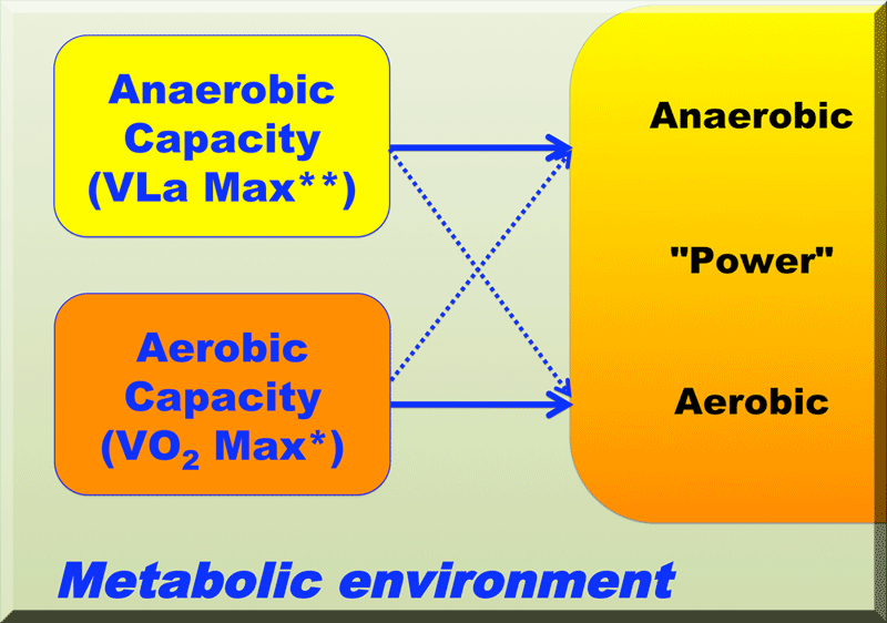 olbrecht model
of performance - metabolic only