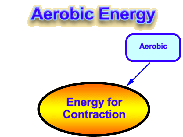 Aerobic energy sale