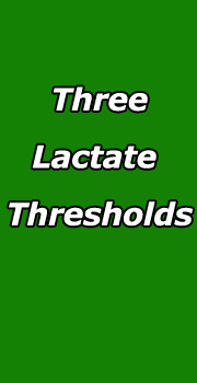 importance of lactate testing
for the triathlon for measuring the lactate threshold