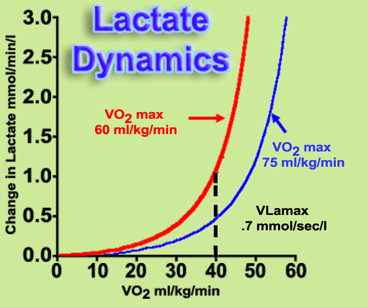 the relationship between lactate production rates and VO2 max for a VLamax of .7 mmol/s/l at a VO2 of 49 ml/kg/min