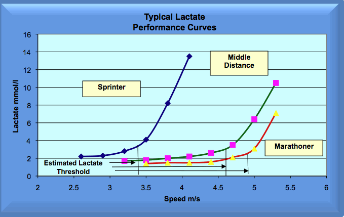 lactate curves for sprinter, middle distance and marathoner