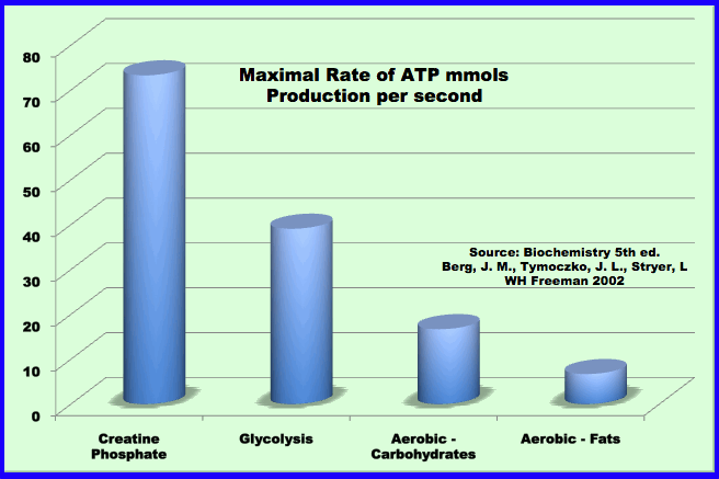 Lactate Testing For Triathlon Training Why Does Every Athlete Want A Strong Aerobic System