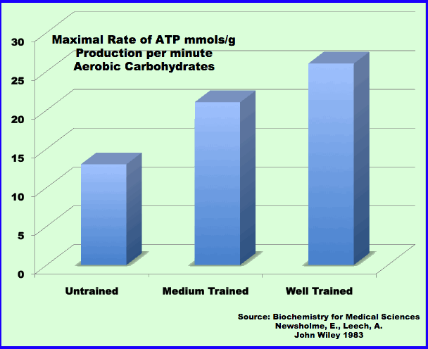 maximal rate of ATP production rates for aerobic energy from carbohydrates by training level