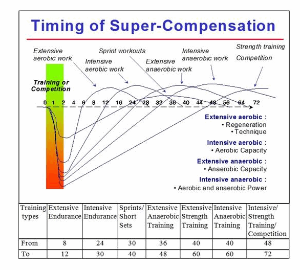 time of supercompensation