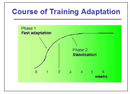 course of training adaptation