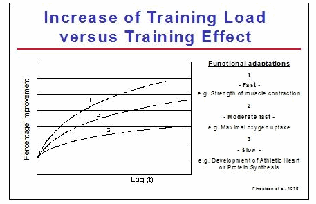 effect of training versus load