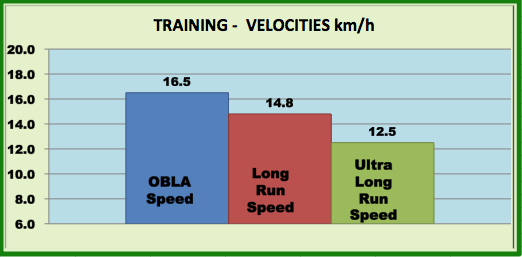 running paces for triatlete based on lactate testing