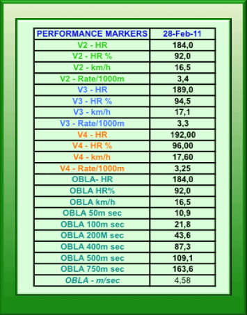 specific running paces for a triathlete based on lactate testing