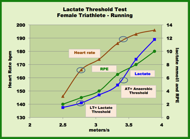 lactate and heart rate curve for a female triathlete